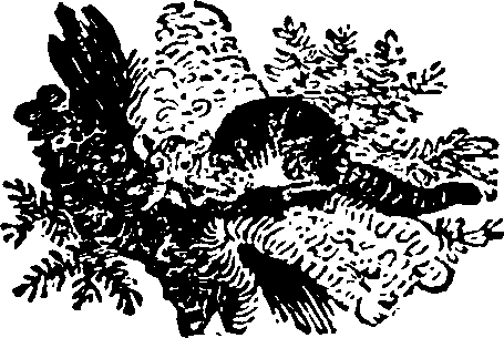 086/086530020001360_0.png