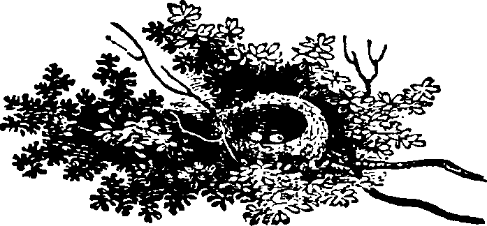 086/086530020001370_0.png