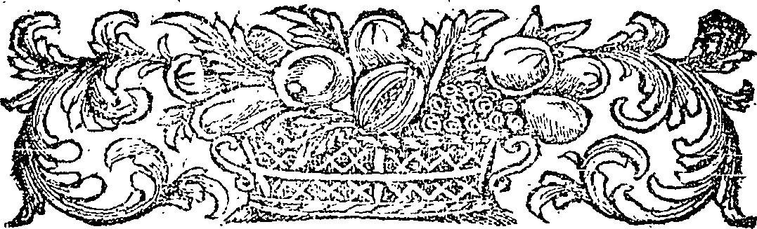 086/086580040000050_2.png