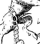 086/086580040000660_0.png