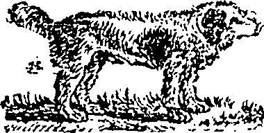 086/086600010001170_0.png