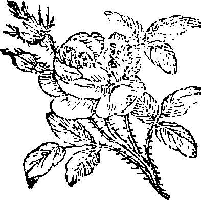 086/086680010100360_0.png