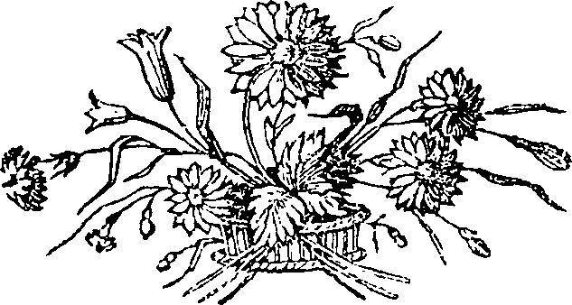 086/086680010202430_0.png