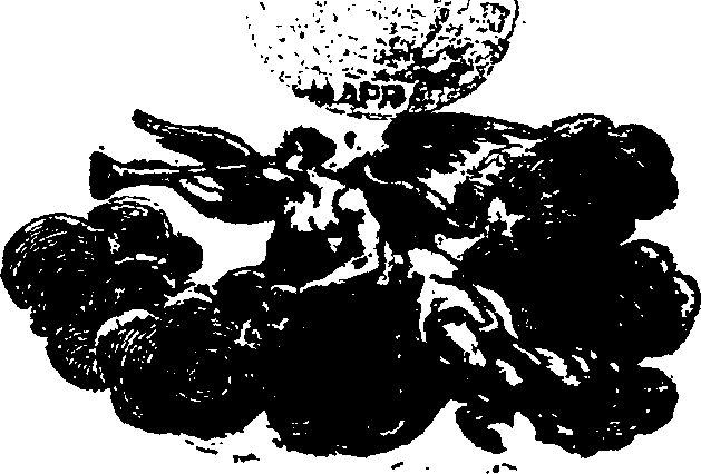 086/086690010000970_0.png