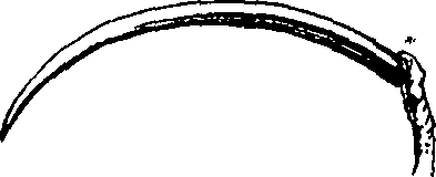 086/086750080000690_1.png