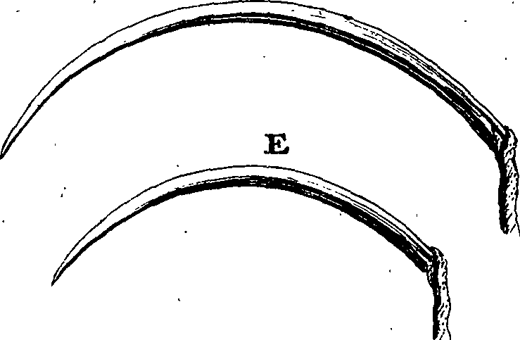 086/086750080000690_2.png