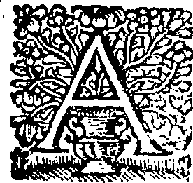 086/086780070000240_0.png