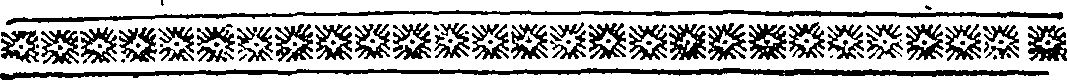 086/086810030000590_1.png