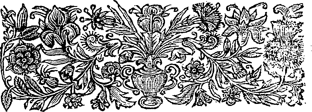 086/086810030002460_1.png