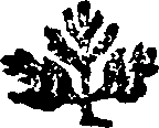 086/086830070001080_0.png