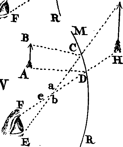 087/087060010000260_1.png