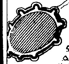 087/087060040001920_0.png