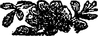 087/087100120000830_0.png