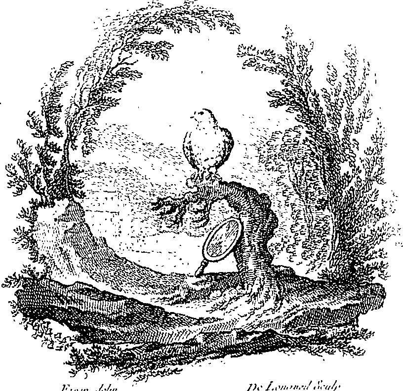 087/087110030000740_0.png