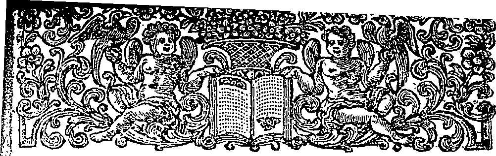 087/087120040000040_1.png