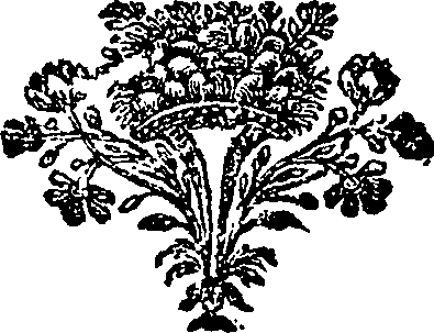 087/087120130000560_0.png