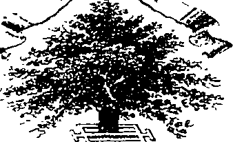 087/087220010000010_0.png