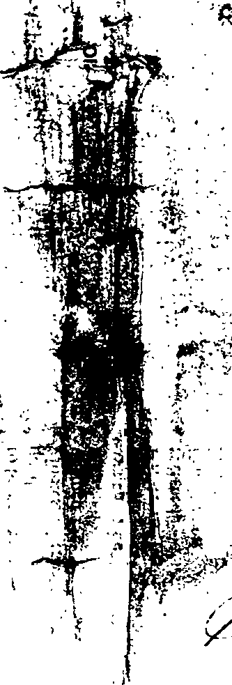 087/087400240000040_0.png