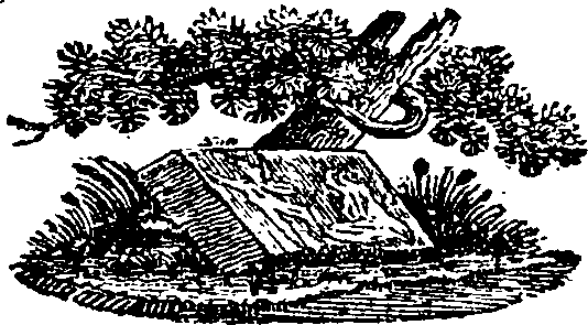 087/087420060000590_0.png