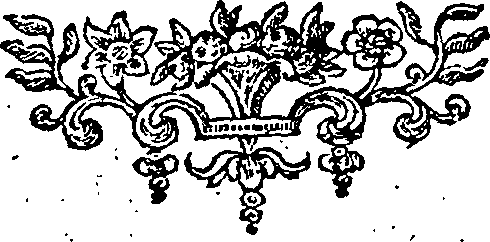 087/087430060203650_1.png