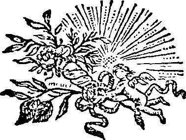 087/087480090000010_0.png