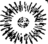087/087480090002810_0.png