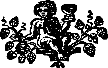 087/087490050000900_0.png