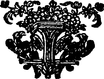 087/087490050000970_0.png