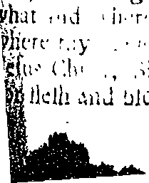 087/087510010001910_0.png
