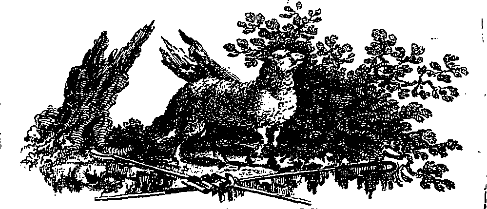 087/087510090000020_0.png