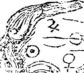 087/087530020000660_0.png