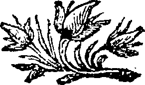 087/087530020001010_0.png