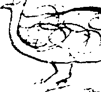 087/087750020000010_1.png