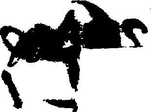 087/087800130000220_0.png