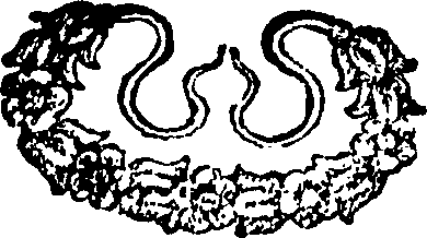 087/087850020007070_0.png