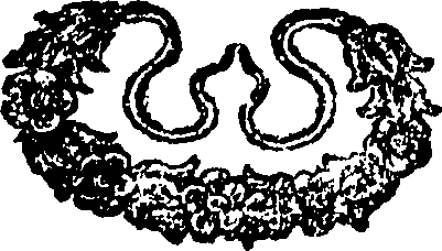 087/087850020007420_0.png