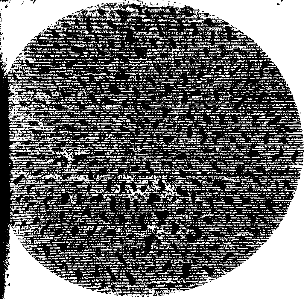 087/087980080101110_0.png