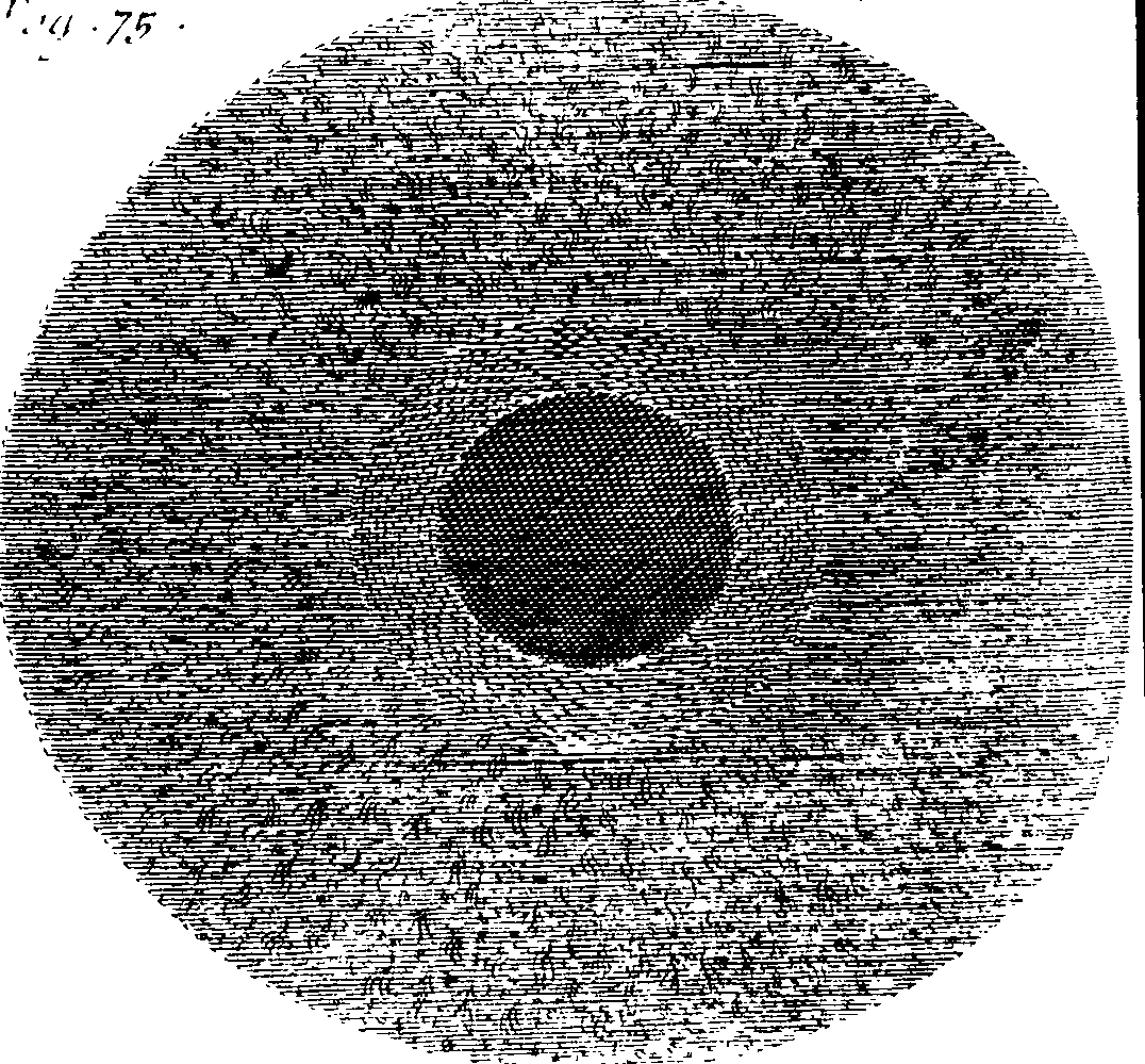 087/087980080101120_0.png