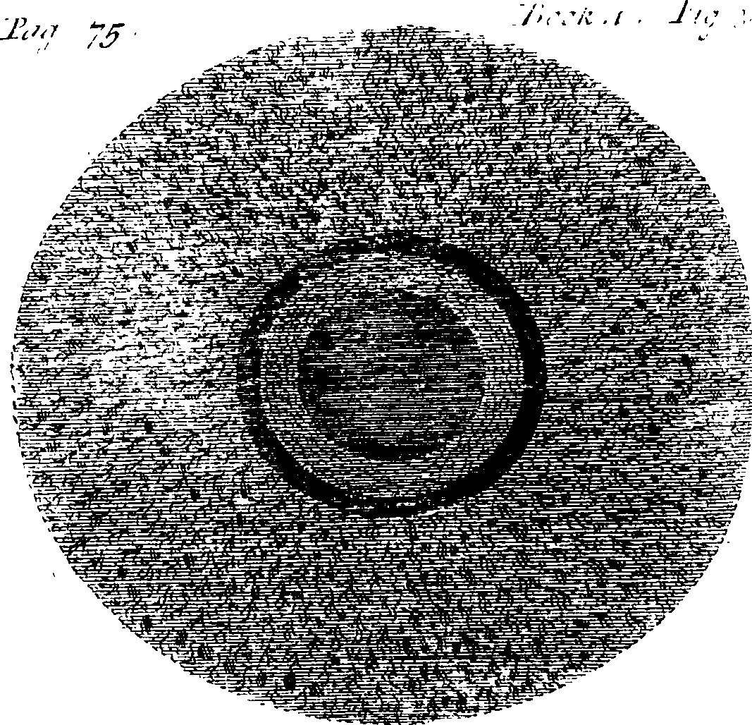 087/087980080101130_0.png