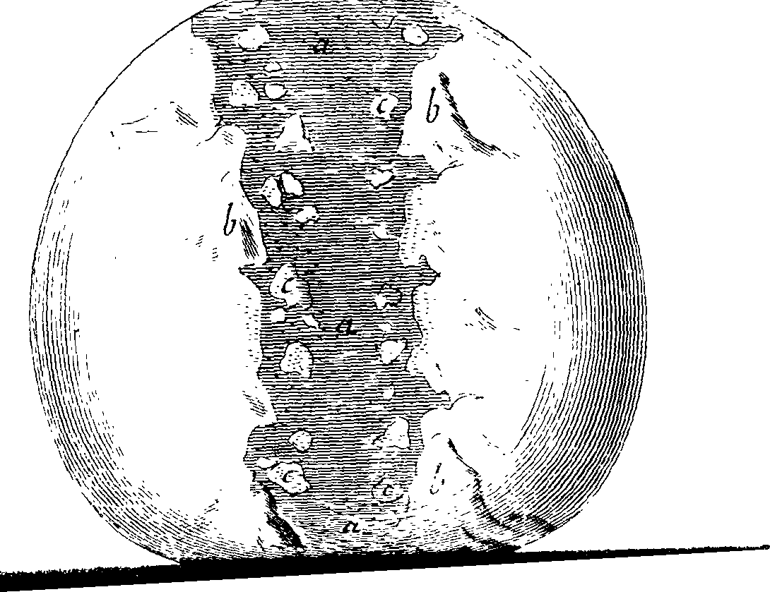 087/087980080102250_0.png