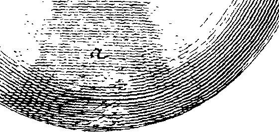 087/087980080102250_1.png