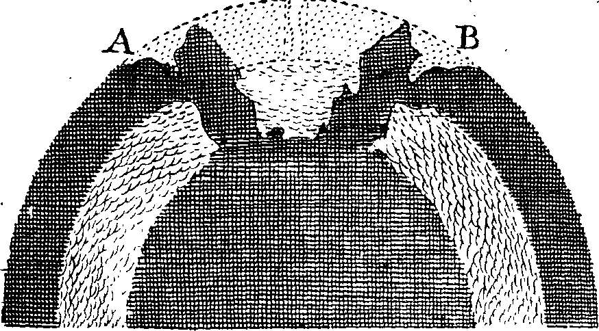 087/087980080102250_2.png