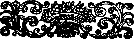 087/087980080202000_0.png