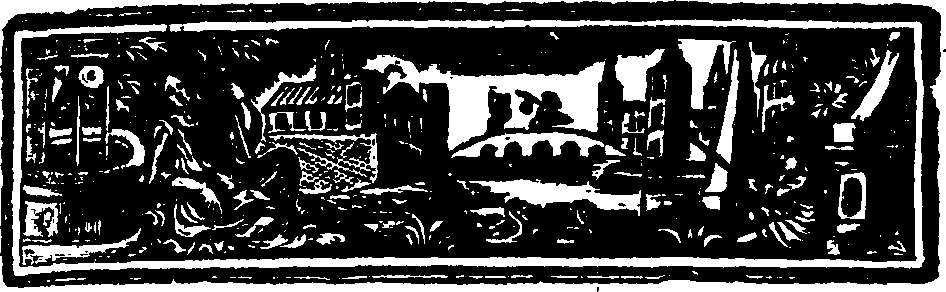 087/087980080205000_0.png