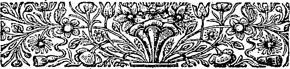 088/088000040000020_1.png