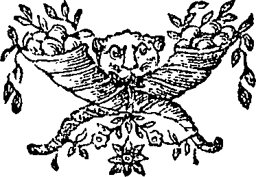 088/088060020000960_0.png