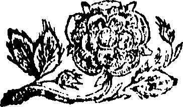 088/088060080000080_0.png