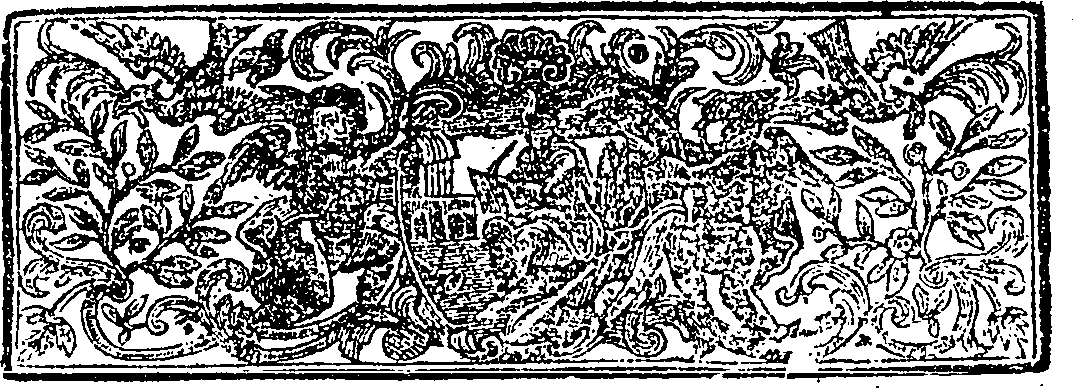 088/088070010000020_1.png