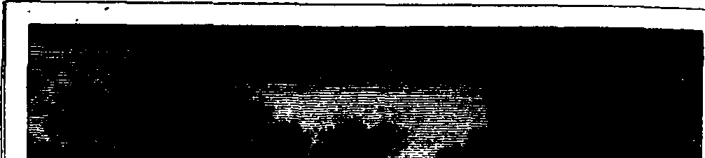 088/088170010402650_1.png