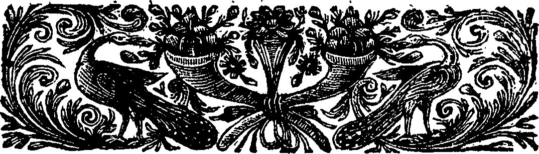 088/088310020000260_1.png